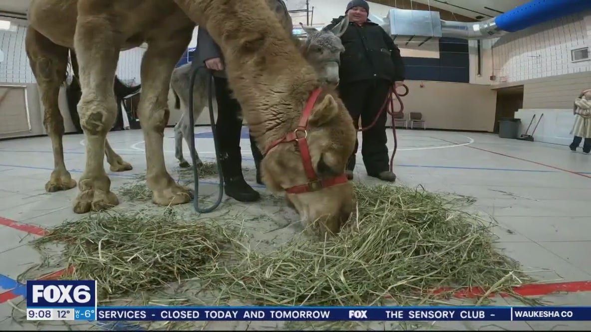 Christmas Eve live nativity offers 'a different viewpoint'